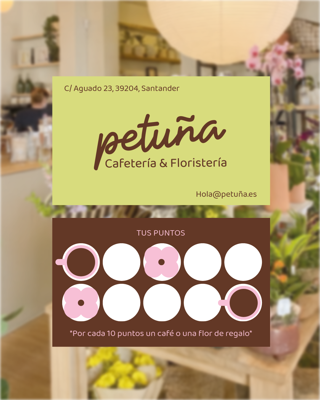 petuña puntos 4