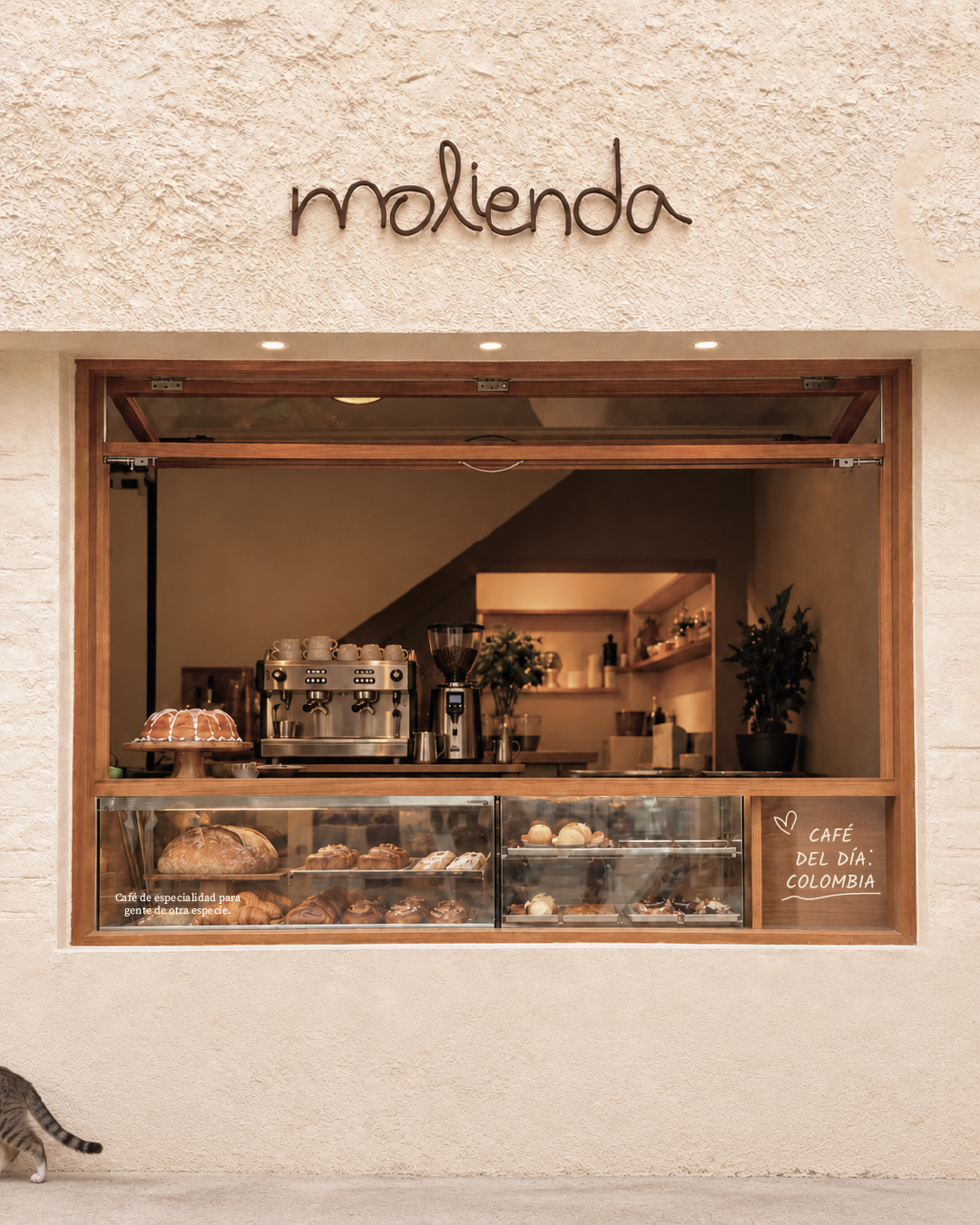 molienda-03 2